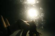 In the light 2