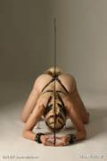 Ponygirl