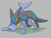 [M/F] [Animated] Shiny Umbreon nailing a Vaporeon