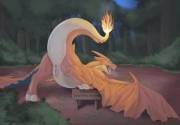 Mega Charizard Y [F]