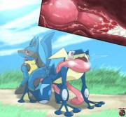 Lucario x Greninja [M][M]