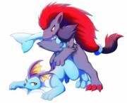 Zoroark [M] X Vaporeon [M]