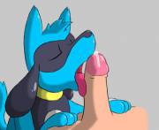 Riolu and Lucario Album [M][F][Coed][M/M]