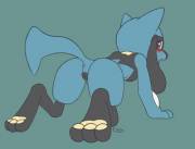 [F] Riolu - Ellistia