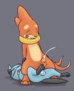 Buizel [M] and Dewott [M] having fun