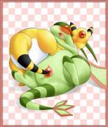 Ampharos X flygon (F/F)