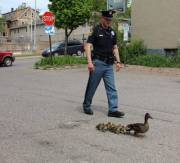 Hot cop escort. Copied from r/aww