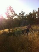 Although late; this is what harvesting a Christmas tree in Australia is like.