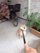 TFW you try subbing for the first time and you don't like it