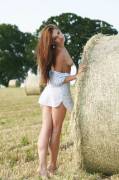 Hay