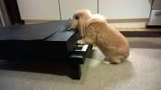 On the piano
