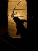 Just a Silhouette