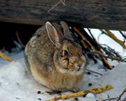 Bundled up against the cold