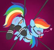 Quite an elaborate set up here. I'm sure Rainbow Dash appreciates it. [solo][bondage] (artist: he4rtofcourage)