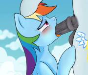 Rainbow Dash and Soarin blowjob [animated] (artists: hotpot, mewyk91)