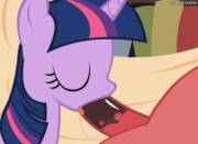 Twilight Sparkle Blowjob [Animated] [M/F]