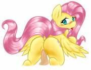 Fluttershy penetration [M/F] (artist: ambris)