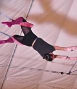 Circus training
