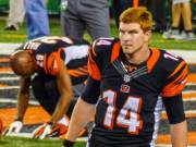 Ginger Appreciation for Andy Dalton of the Cincinnati Bengals - small imgur album