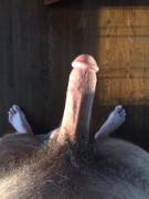 I like my cock, how about you?