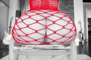 Red net