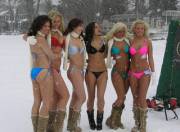 Six snow bunnies