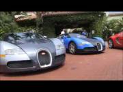 Mia and Buggati's
