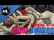 Christy Mack loves huge snakes