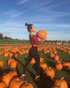 Pumpkin Patch Ass