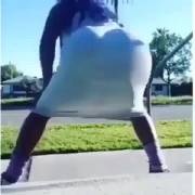 Fat Ass Twerk